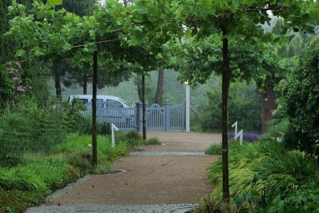 Der Regen hat zwar das heutige Fotoshooting unterbrochen, die Stimmung war aber ein Traum. Schön alles so gedeihen zu sehen! 😍🌱

#gärtnerhofweyerdeelen #gartenlandschaftsbau #gartenbau #gartengestaltung #galabauer #galabau #gardendesign #gardendesigner #gardendesigners #landscaper #landscapersofinstagram