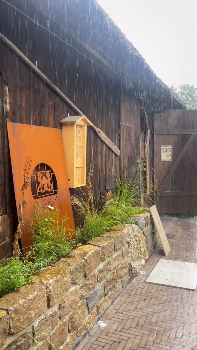 Regen, Regen und noch mehr Regen. Hier ein großer Dank an unser ganzes Team, das trotz des Wetters seit Wochen draußen die Stellung hält und unermüdlich arbeitet, damit wir unsere lieben Kunden nicht vertrösten müssen! ☔️🫶 Ihr habt einen Orden verdient!

#galabau #gartenlandschaftsbau #gartenbau #gartengestaltung #muschelkalk #cortenstahl #cortensteel #wildbienenglück #wildbienennisthilfe #gärtnerhofweyerdeelen #nurdiehartenkommenindengarten #esgibtkeinschlechteswetter #esgibtkeinschlechteswetternurschlechtekleidung #sommer2023 #regen #schlechtwetter #klinker
