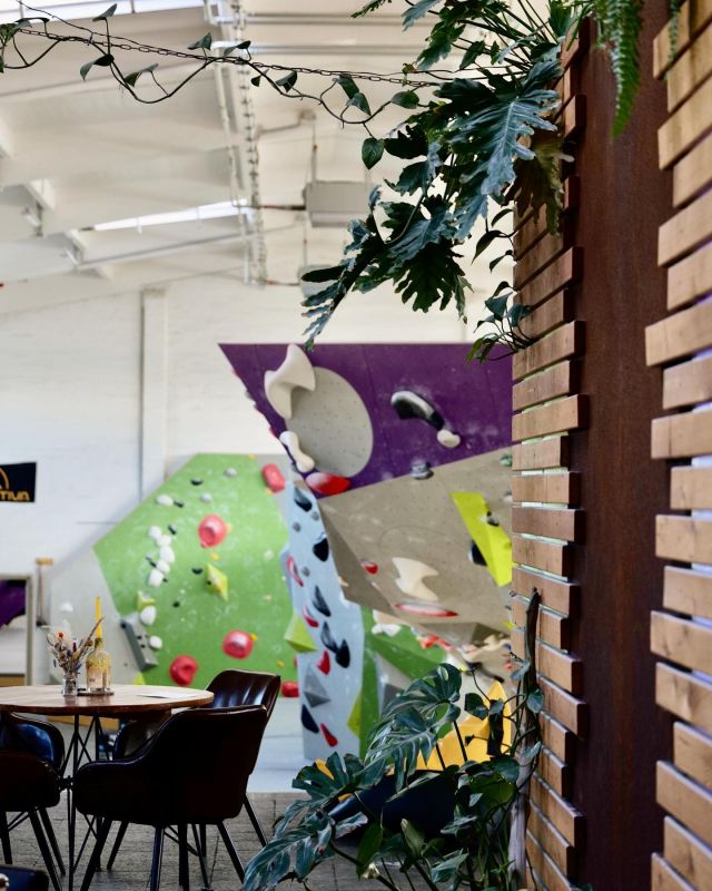 Wart ihr eigentlich schon mal in der @boulderbase.tabakquartier ??? Da findet ihr auch das ein oder andere Leckerchen aus dem Händchen unseres Teams. Wir sind selbst immer wieder überrascht, was für vielseitige Talente wir haben 😎

#indoorgreen #indoorgreenery #innenraumbegrünung #roraima #boulderbasetabakquartier #boulderbasebremen #cortensteel #cortenstahl #rombus #galabauer #gartenlandschaftsbau